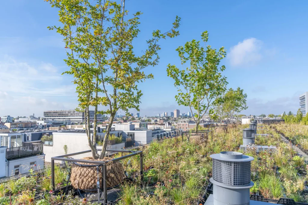 Duurzaam stadsgroen
