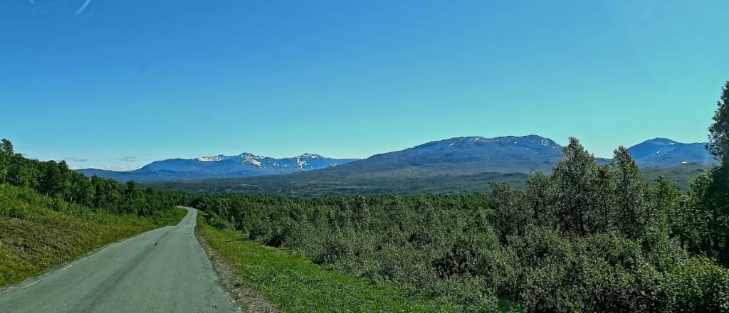 Zweden