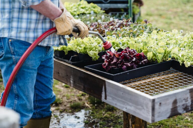 Sustainablejobs.nl biologisch voedsel
