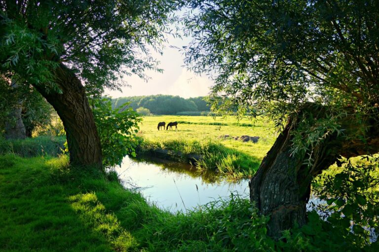 Sustainablejobs.nl duurzaam ecologisch