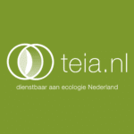 Teia