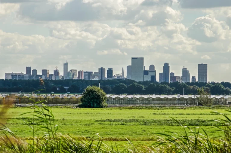 VVM netwerk milieuprofessionals directeur