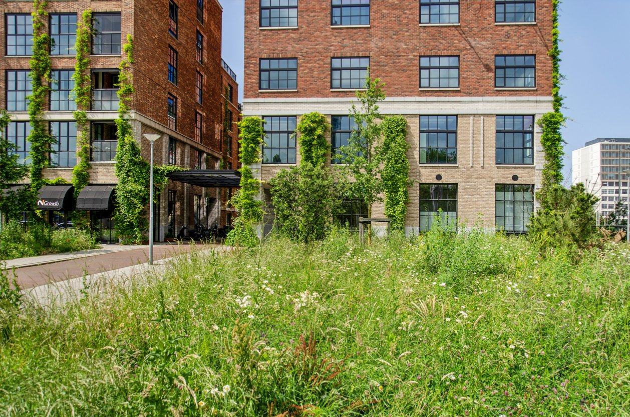 Biodiversiteit