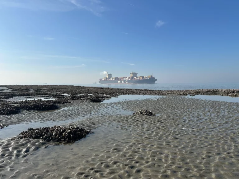 Duurzaam beleid sustainablejobs.nl