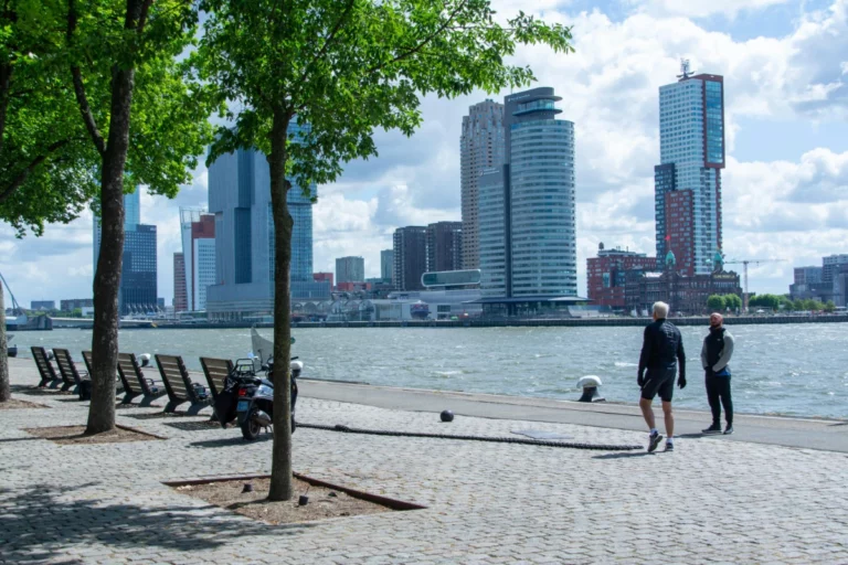 Vraag naar professionals in duurzaamheid