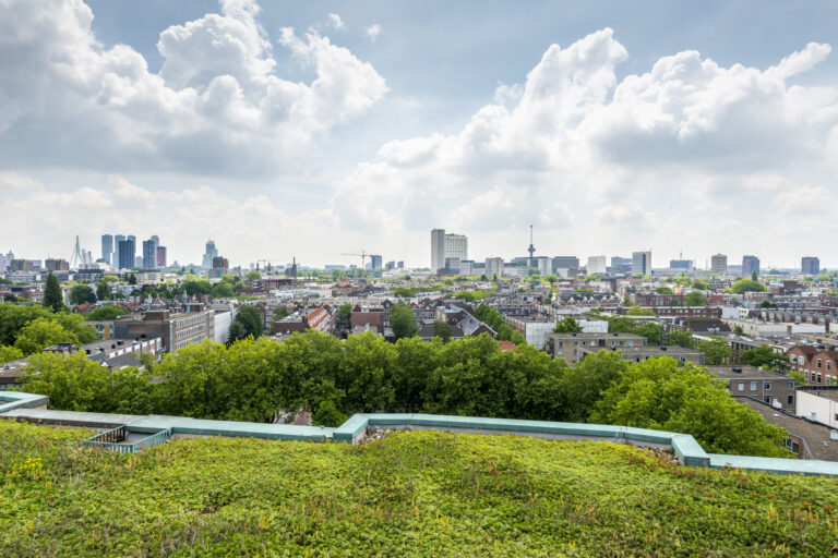 Nieuwe CV Database - Sustainablejobs.nl en Fondsen.org.